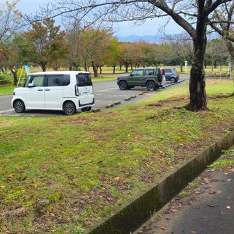 駐車場ゴール