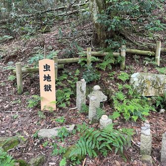 で、有馬に到着。
1ヶ月ぶりの山歩きでした🚶‍♀️