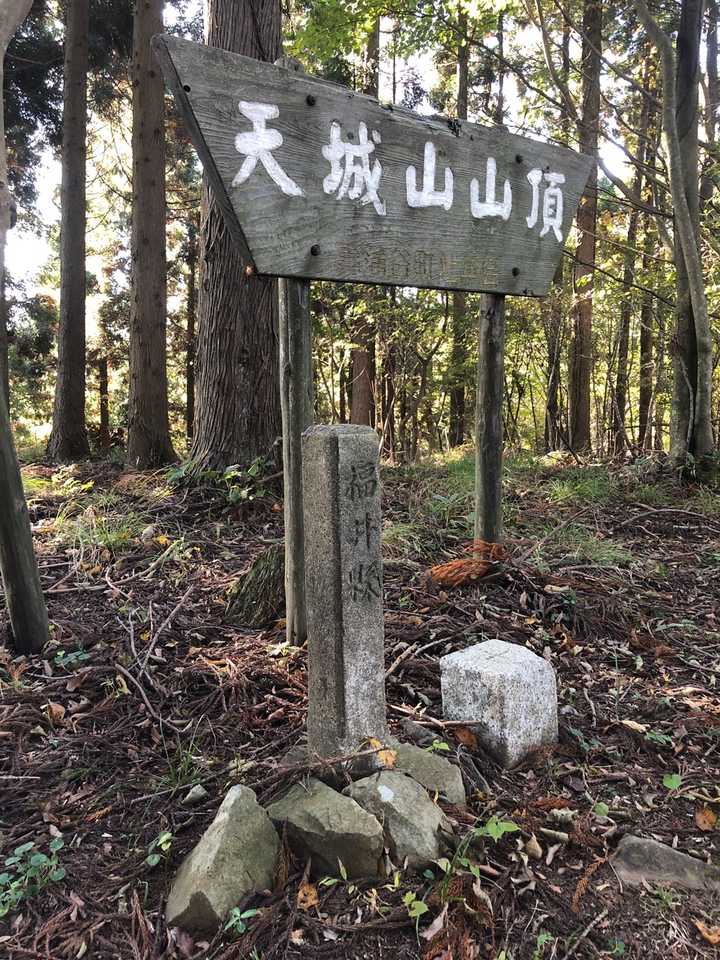 山頂