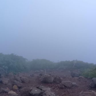 横岳まではガスガス