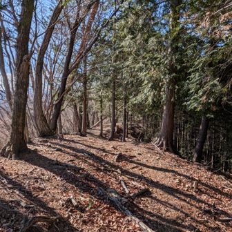 ここからは歩きやすい!!