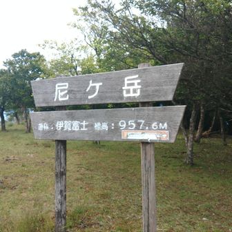 伊賀富士