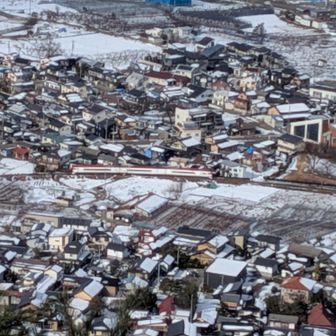 長野電鉄旧成田エクスプレス利用のスノーモンキー号。