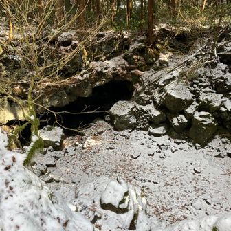 写真では伝わらない大きな洞穴🕳️
下へ降りるには申請が必要だそう📃