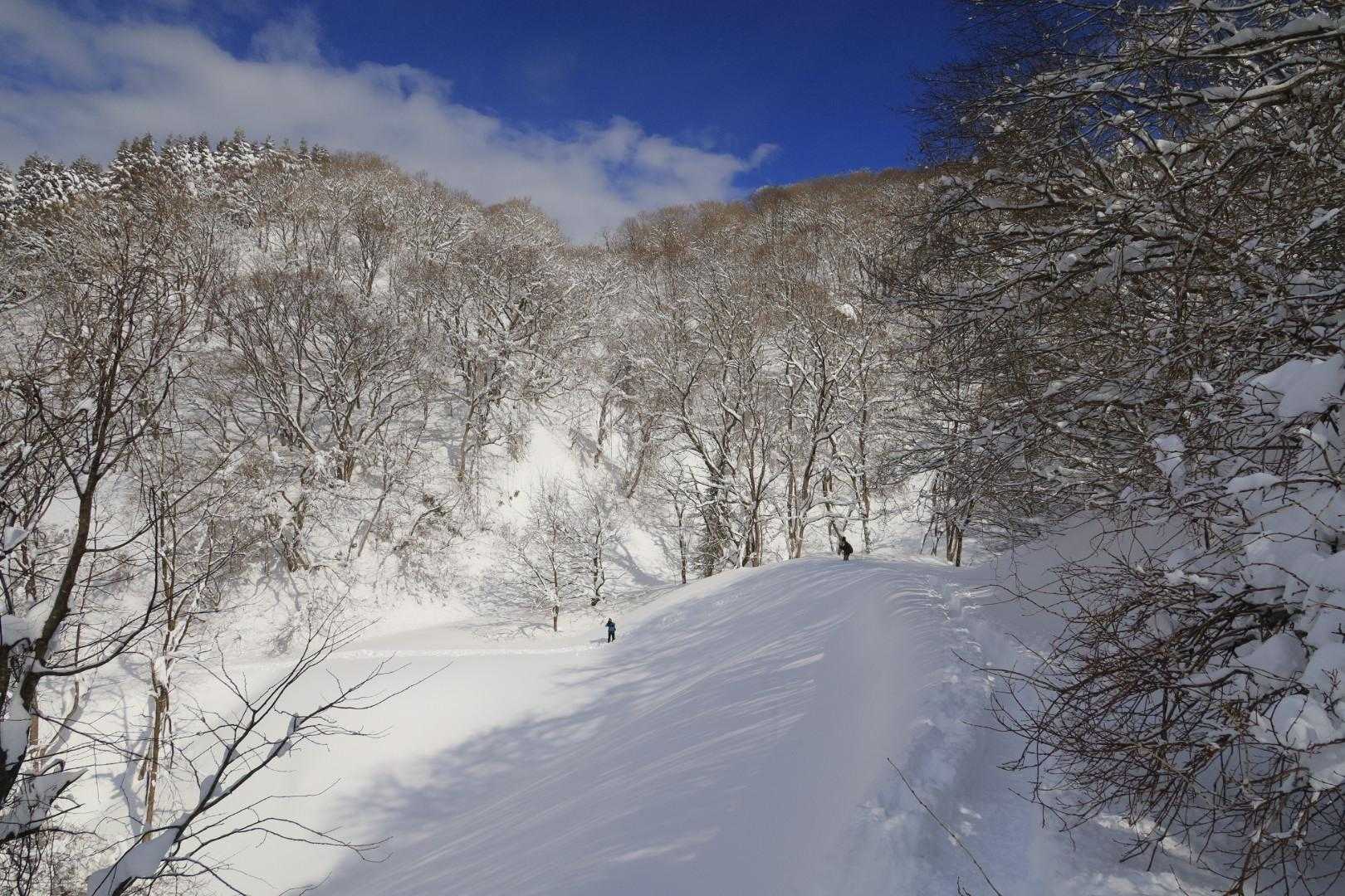 見上峠-白兀山 往復コースの写真