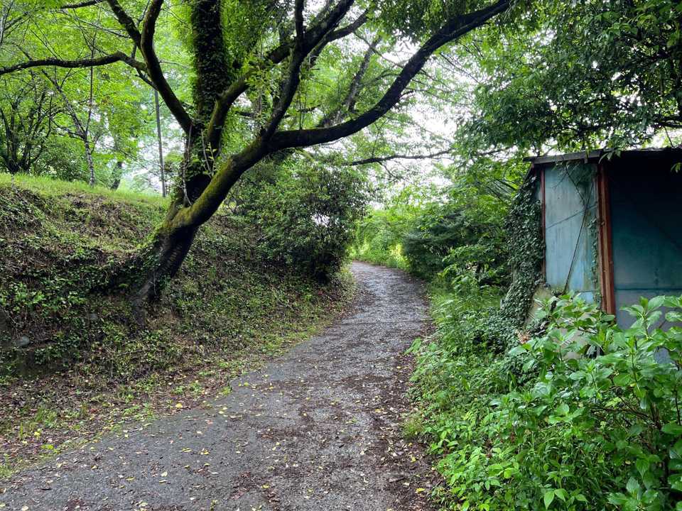 陣馬山・景信山縦走 の写真 2