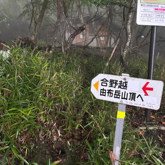鹿ちゃん🦌遭遇