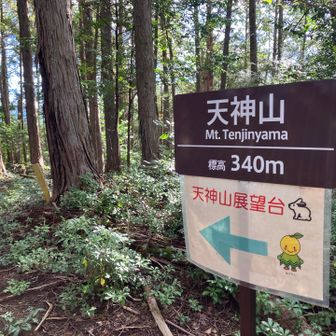 天神山山頂