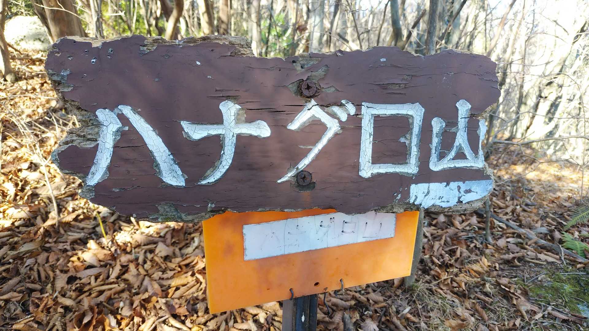 着きました。
当然ですが、名前で由来の忠犬ハナグロはいません。笑