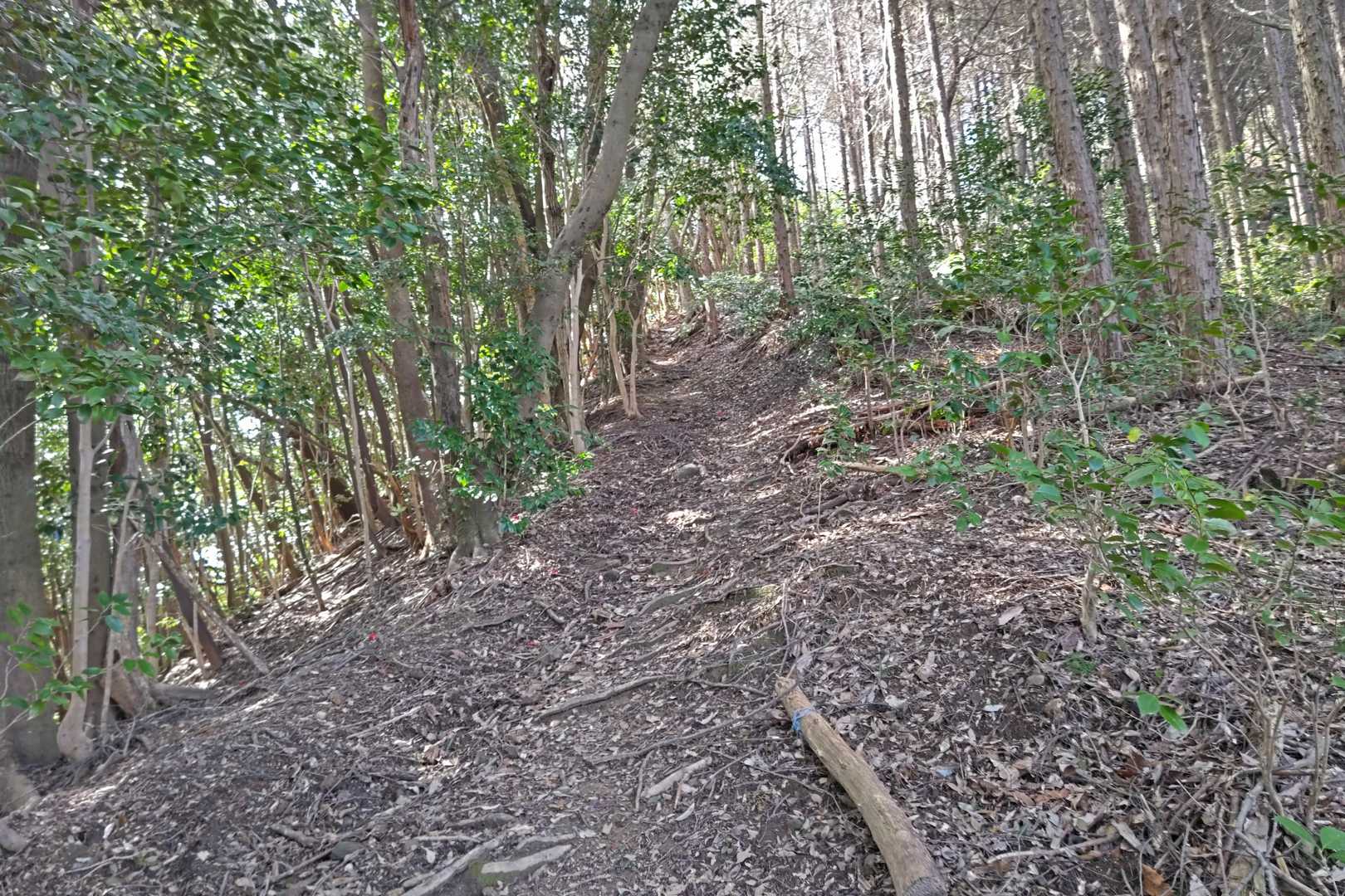 渓月院-岩岳-虎ヶ岳-烏帽子岳 往復コースの写真
