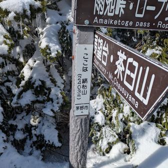 縞枯山登頂しました🙌
北横岳より急登で疲れました😅