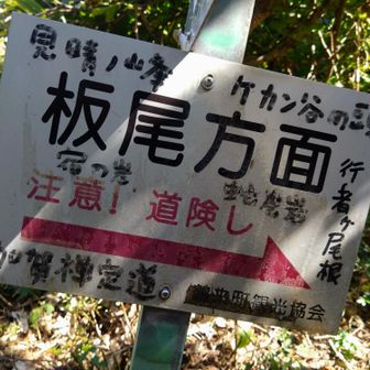 分岐の標識