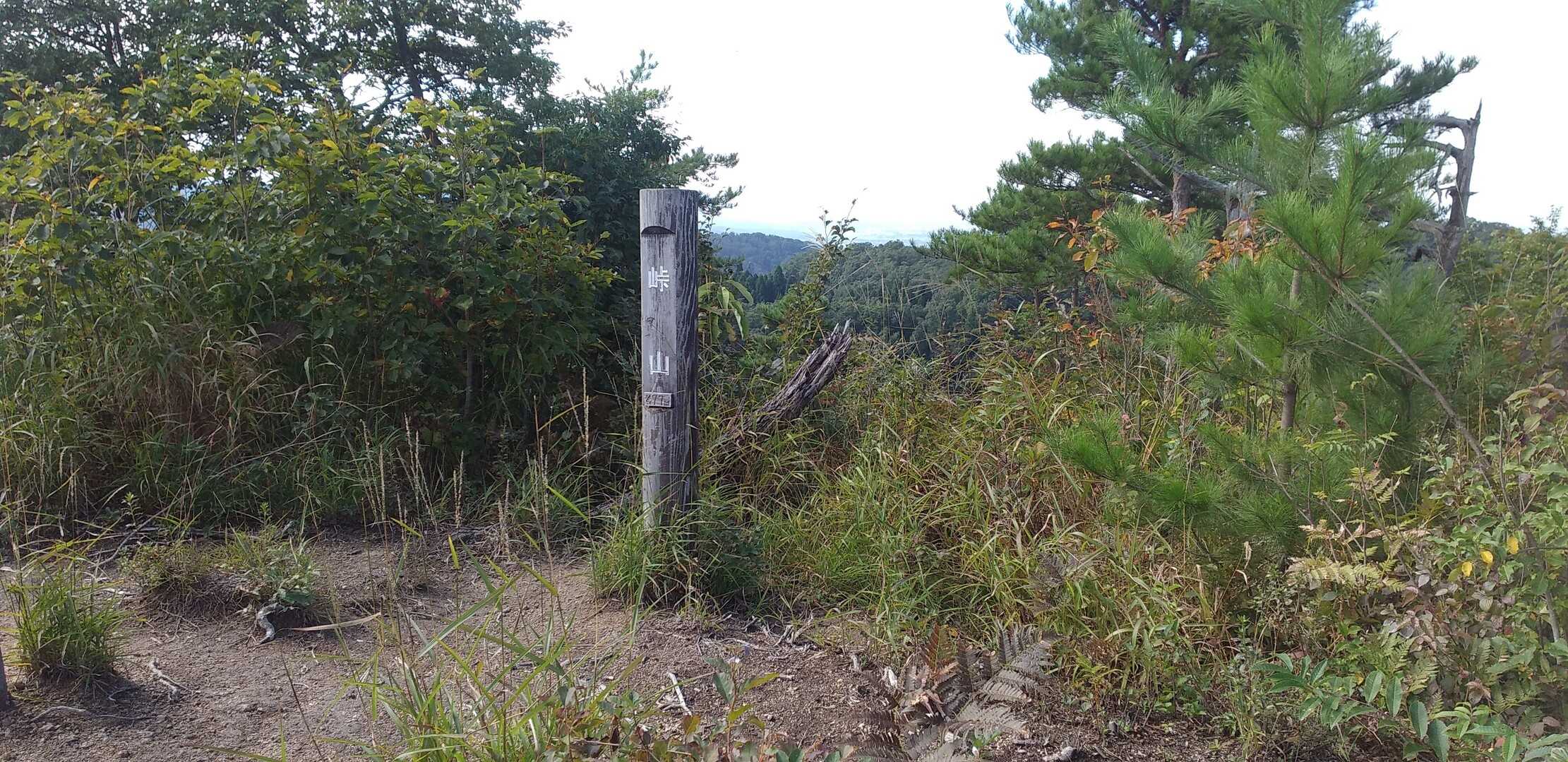 峠山の写真