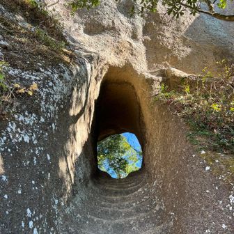 ここを通って高宕山に行きます。
