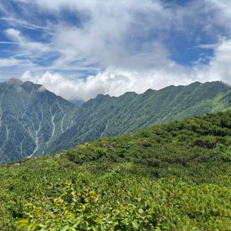 檜尾岳から空木岳への稜線
眺めてるだけなら綺麗なんだけど、木曽殿からの登りはエグいだろうなあ