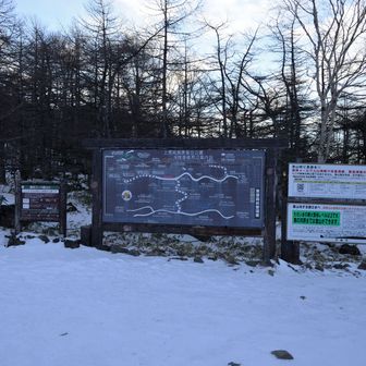 正月明けの三連休初日。朝6時少し前にビジターセンター駐車場に到着、空いている。まだ暗いし、これから薄曇が取れてくる予報なのでゆっくりスタートしようと仮眠。なれど1時間持たず寒さで目覚める。駐車場はそろそろ満車（係員の方がクルマの誘導をされていました）