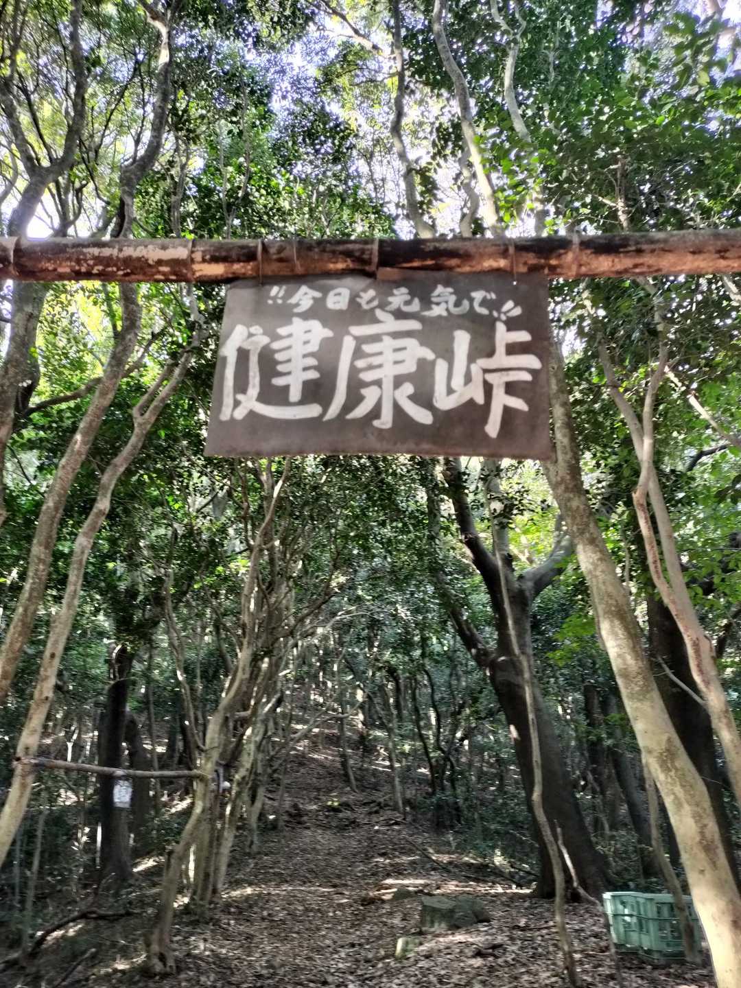 健康第一💦