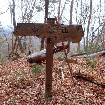 ちゃんとした山頂碑