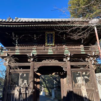 さあ、いよいよ