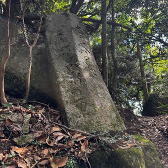 芭蕉の句碑。
「世の人の見付けぬ花や軒の栗」