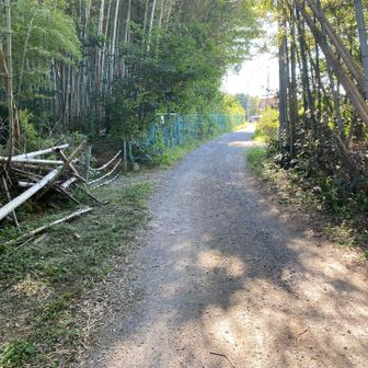 再びの舗装路の後、ここでようやく京都一周トレイルと繋がりました👍