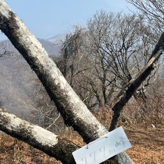 ラッキーセブン✌️到着〜😆