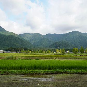 たまたま"山の日"に山登り
真夏☀️に比良山系は初めてかな

でも今日は涼しい日
比良駅🚃降りると何人かあの山を目指す