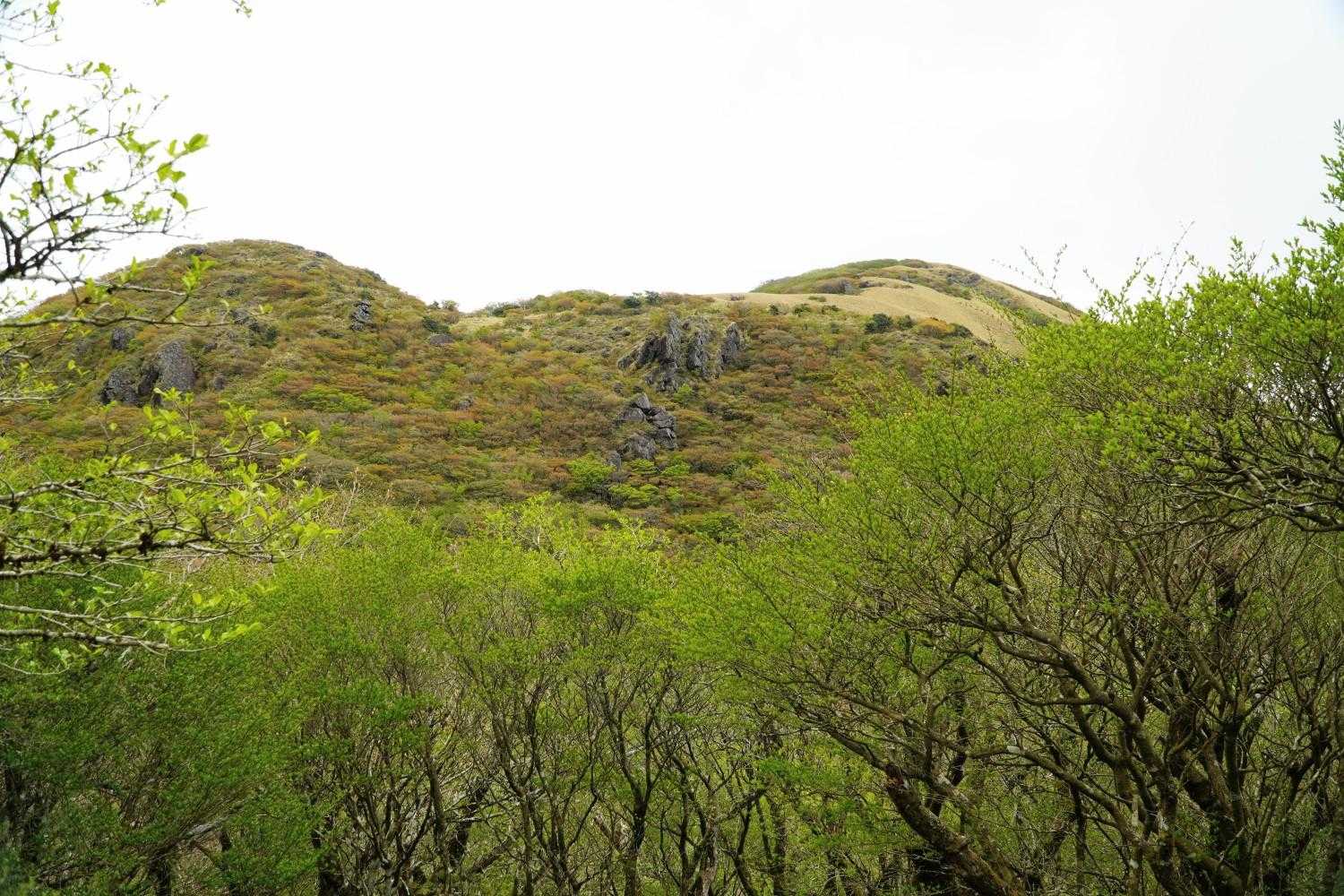 一番右手に見えるのが駒ケ岳⛰️