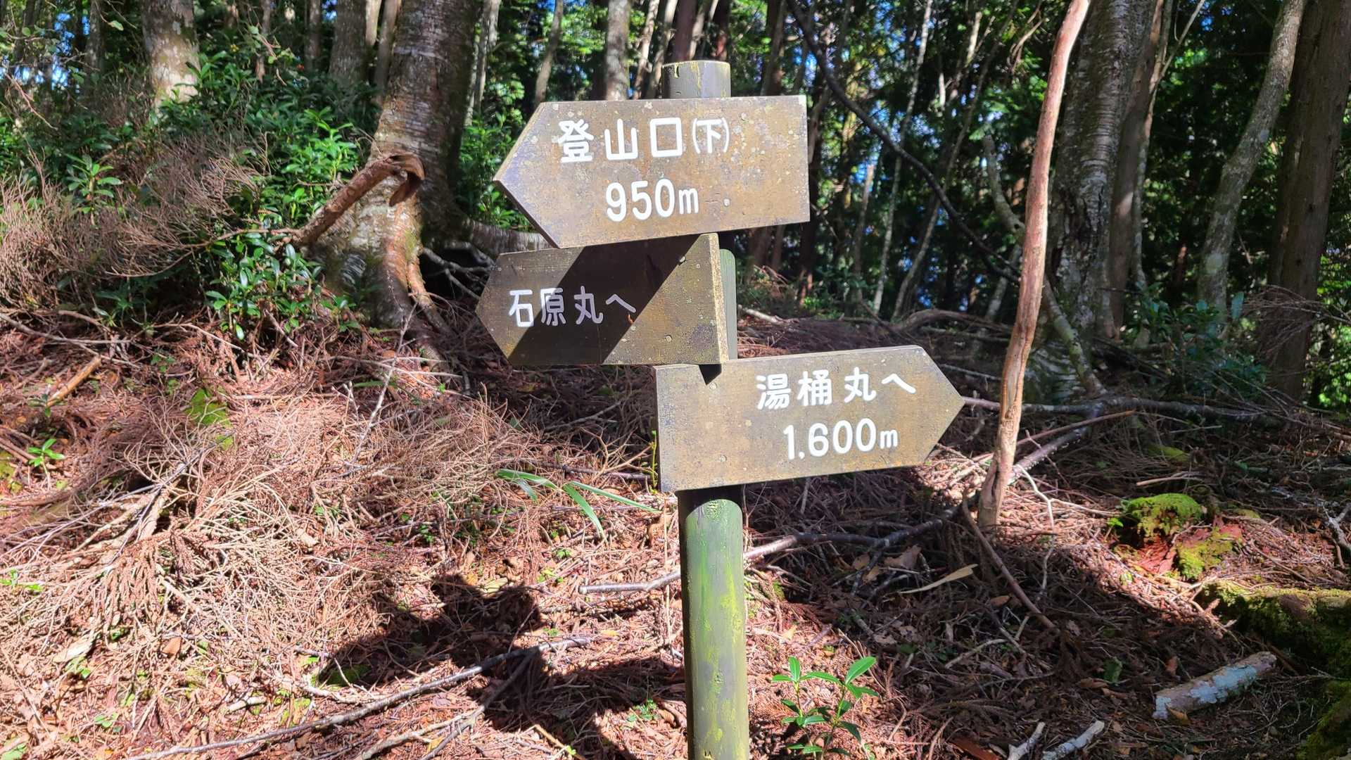 やっと稜線❕
休憩だ🚬