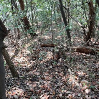 結構藪　さすがグレーピーク