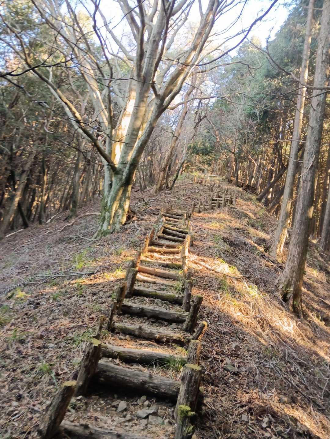 なかなかの斜度
まるで部活動だ
高校生の頃、
応援部に所属し、
顧問の恩師の言葉が蘇る
"常に苦しい道を選べ"と。
その経験が今でも
僕の心に生き続ける