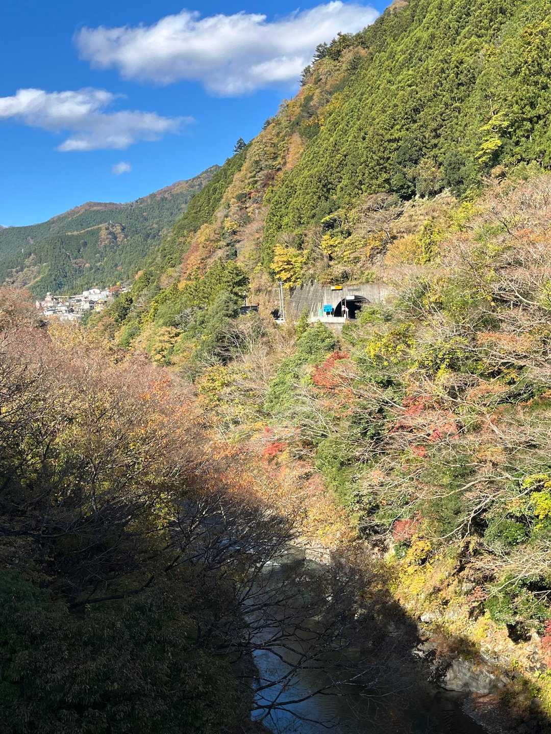渓谷道から一般道に変わり

発電所海沢大橋を過ぎて　奥多摩駅はもうすぐ