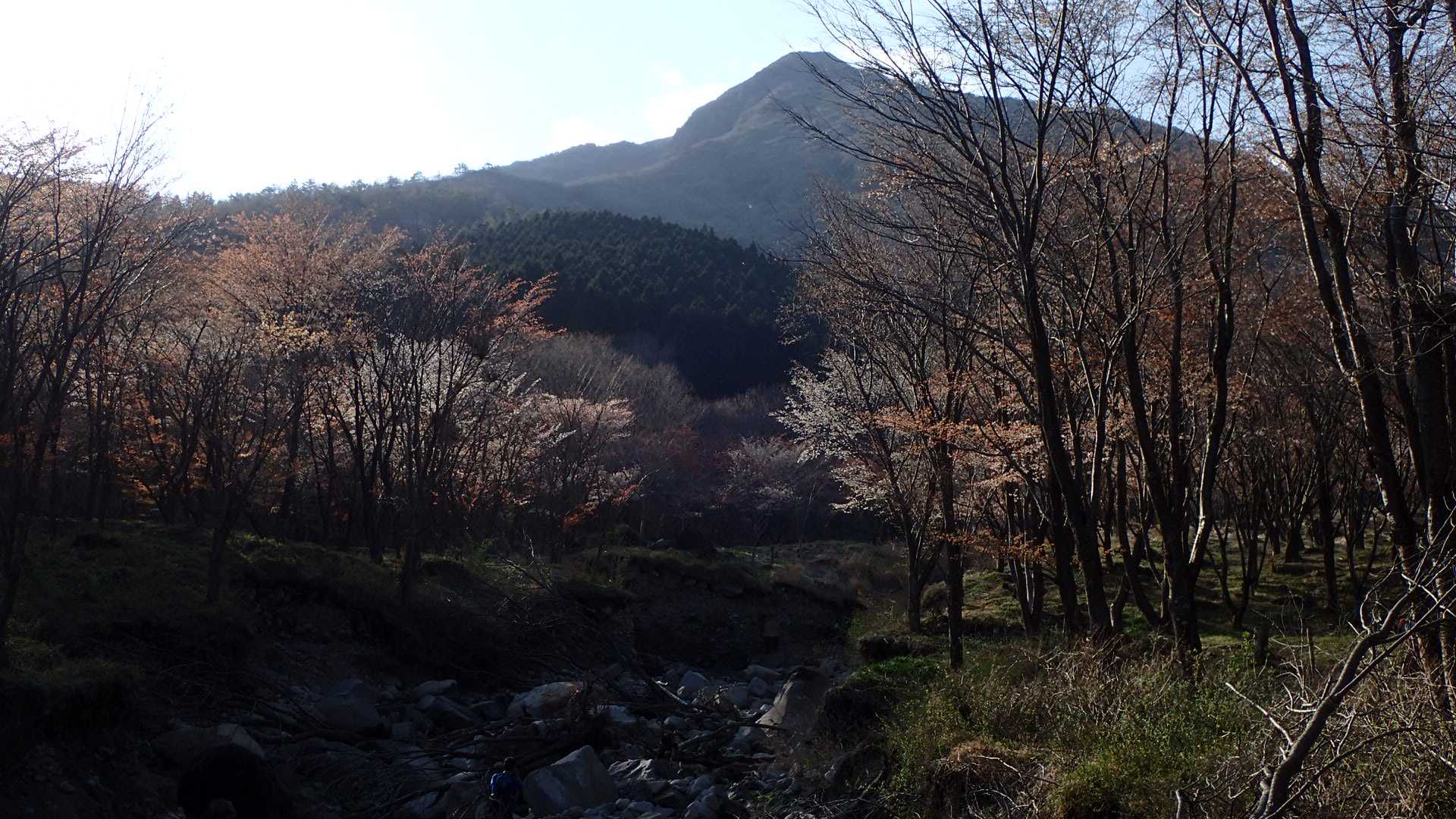 鳴子山-稲星越-白口岳-鉾立峠 周回コースの写真