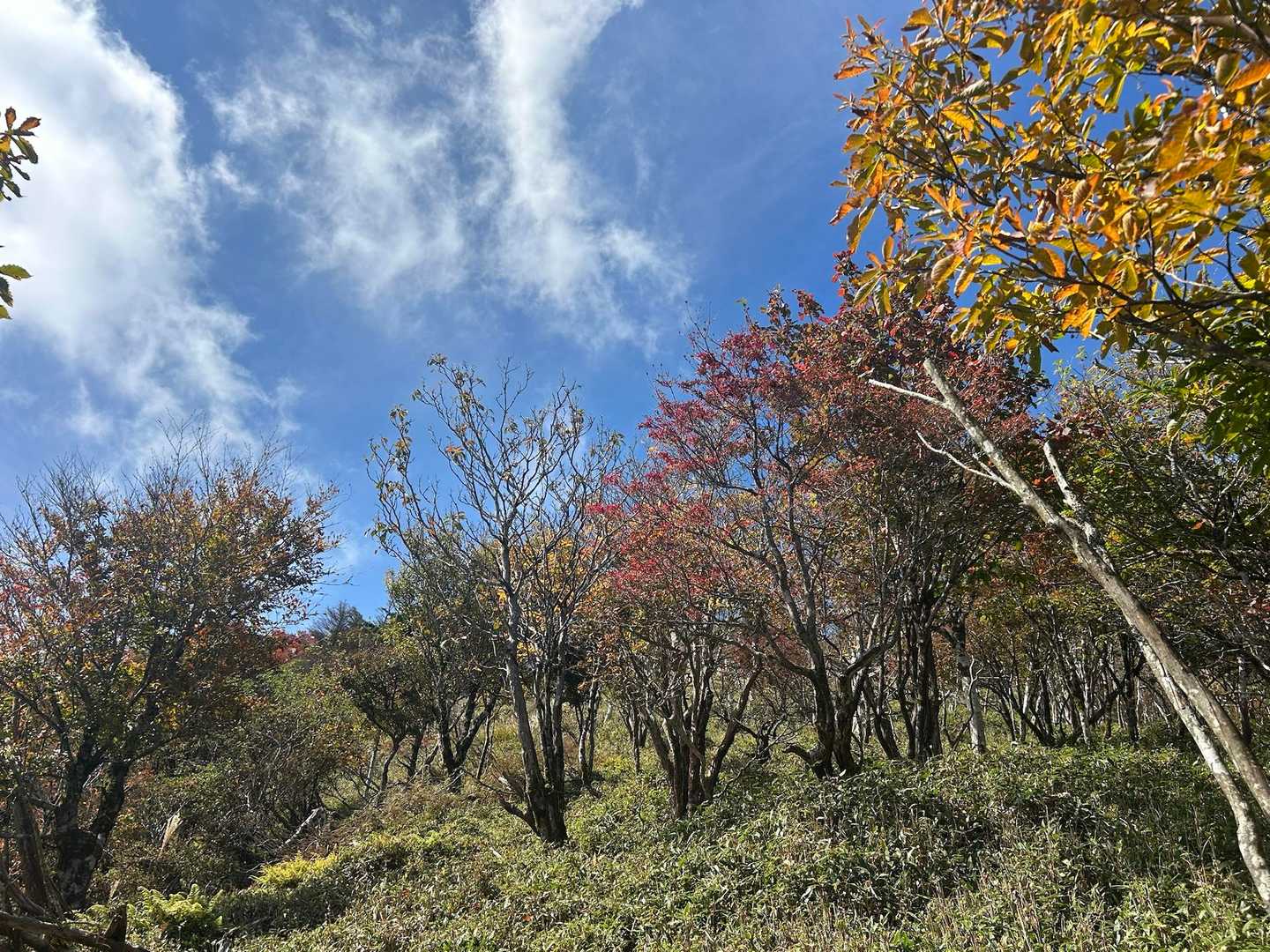立ち止まりまくり写真撮りまくり