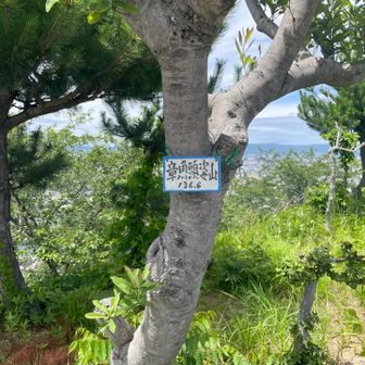 章魚頭姿山 136.6ピークゲット