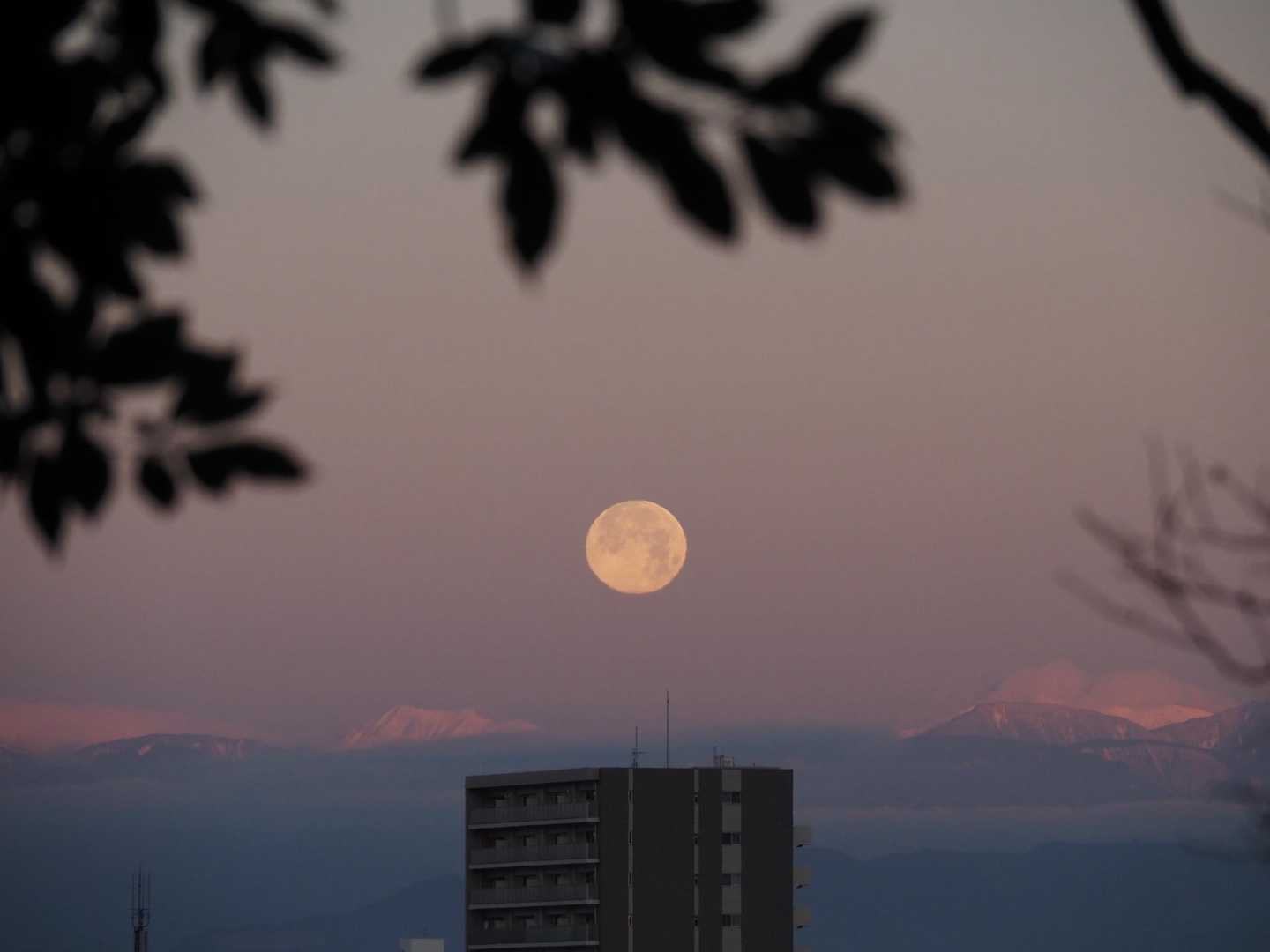 今夜が満月