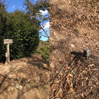 四王寺山三座目･岩屋山到着～🙌
そういや山標と三角点撮った事なかったなぁ