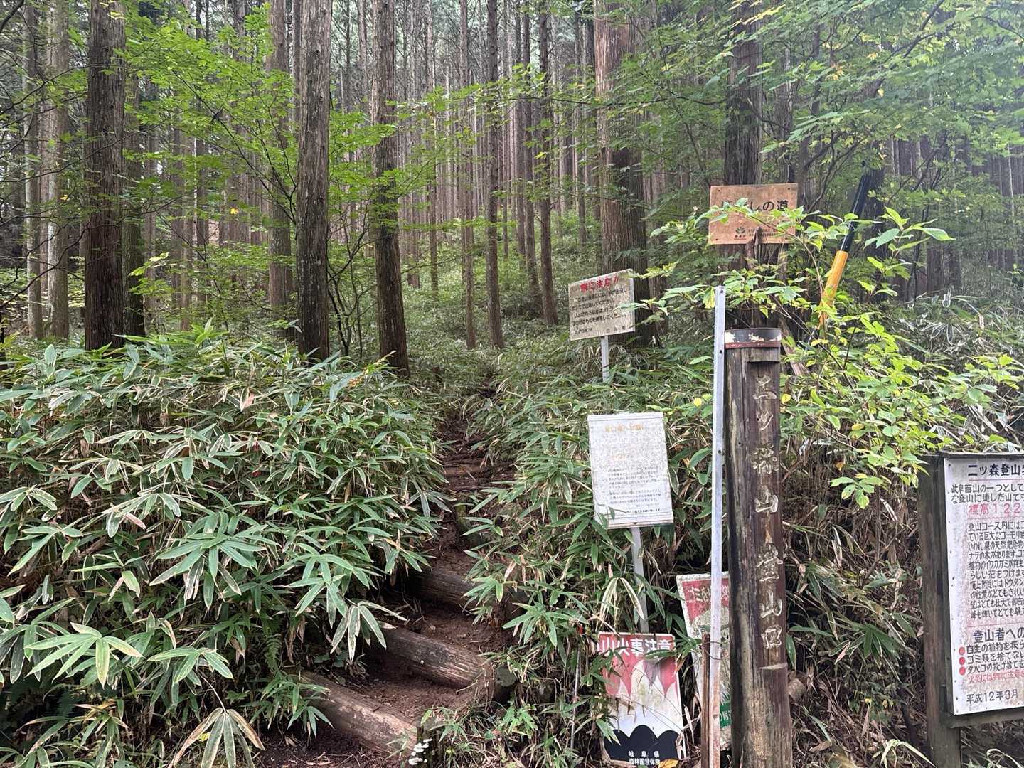 登山口