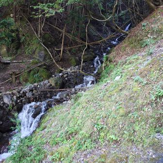 横に沢っぽいのあるけどとても登る気にはなれない険しさ。