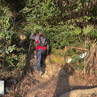 いきなりの急登