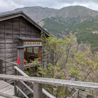 続いてわくわくコース

NARAYA CAFE
(わくわくコース 🎶ランドマーク)