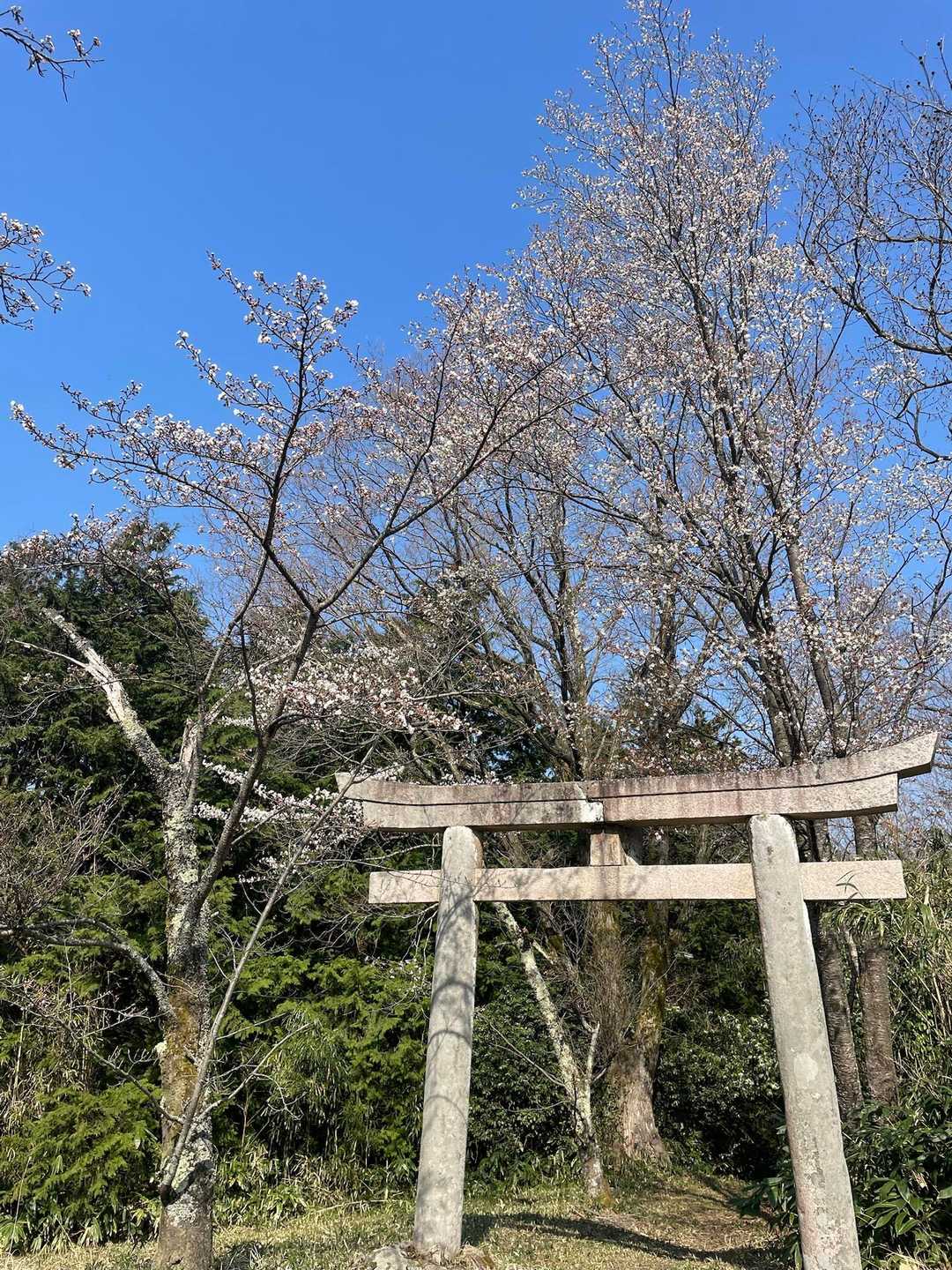 比婆山登山口-東家-比婆山 往復コースの写真