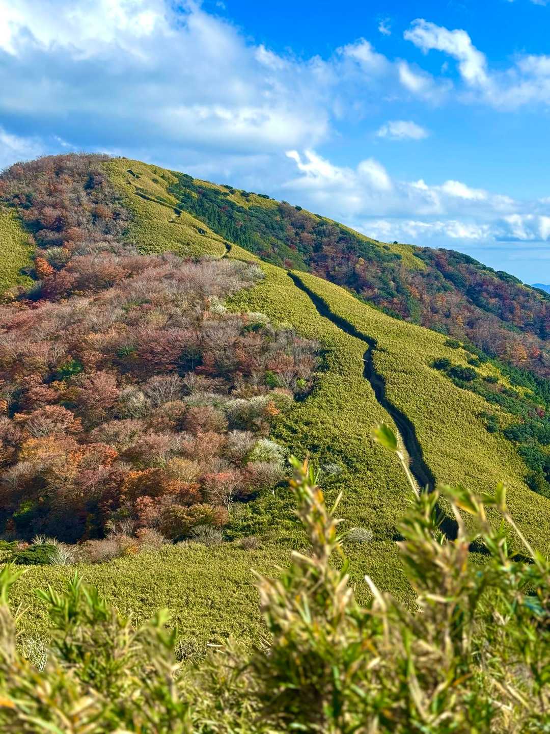 こっち側の紅葉も終わりかけ
先週あたりは綺麗だったんだろな