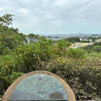 海🌊まで見えるよ