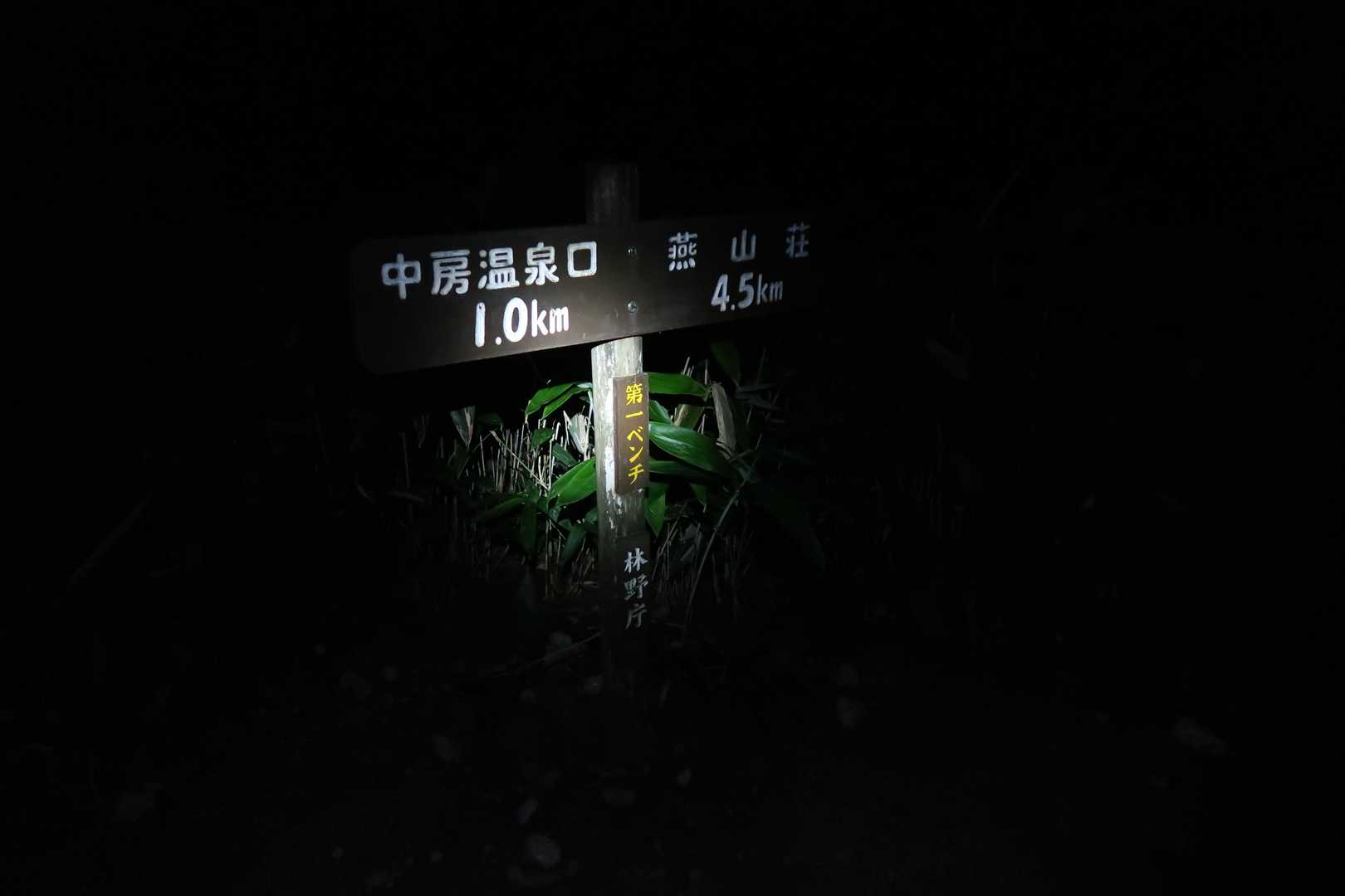 無風、虫も少ない。