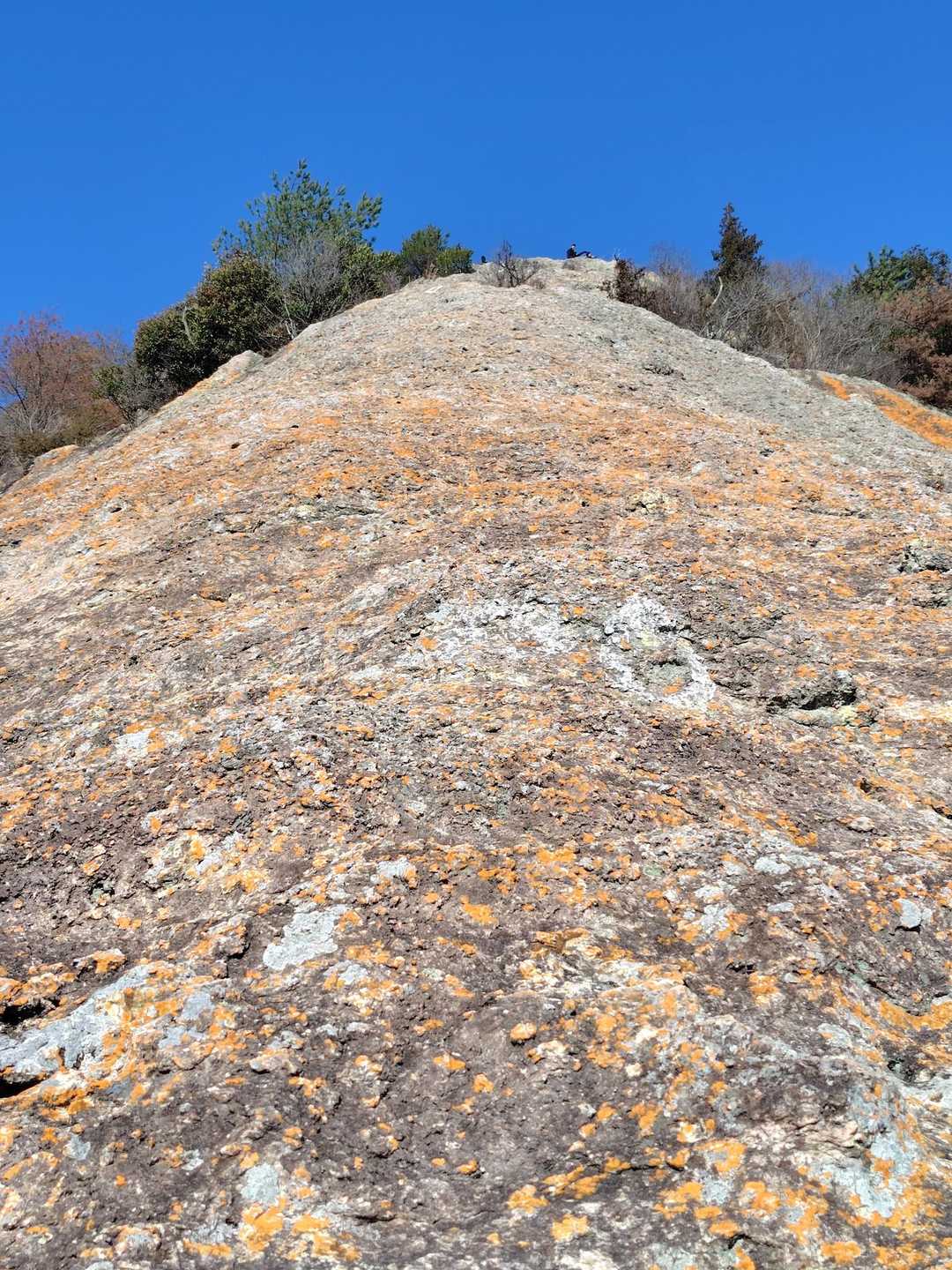 紅山の斜面。ちょっと登る登るのをためらうくらいです