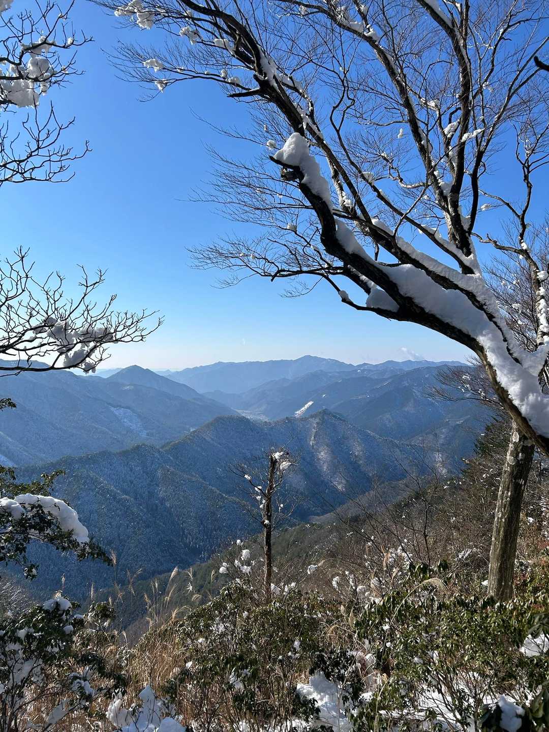 高峰からの景色
遠くに見えるのは黒尾山方面でしょうか🏔️
ここでお昼にします🍜