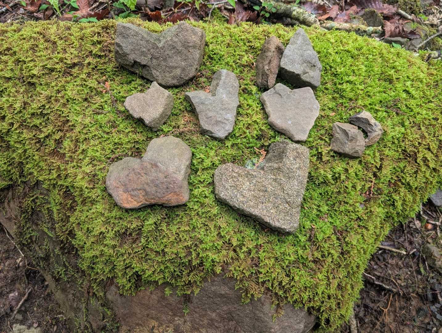 あら〜✨
どなたかハートの石を見つけて石苔の上に並べてくれたのですね！
可愛い〜😍