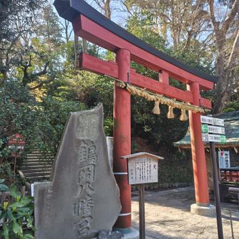 鶴岡八幡宮に、立ち寄って…

朝は、少ないね〜
外国の方が多いね〜