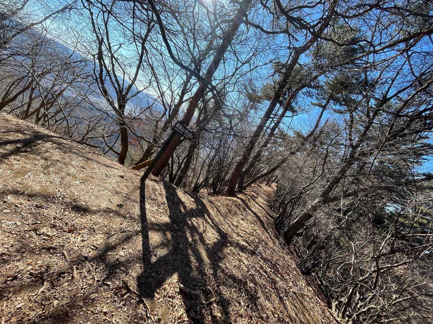 まぁ…来れるよね、これだけ緩やかで道幅もあれば👍